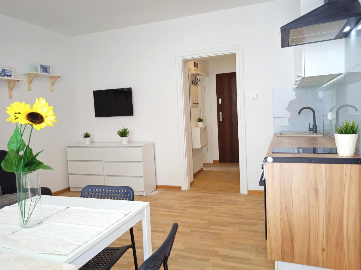 Apartamenty W Domu 比亚韦斯托克 外观 照片
